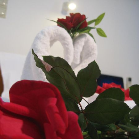 Despina Studios Agia Marina  Room photo