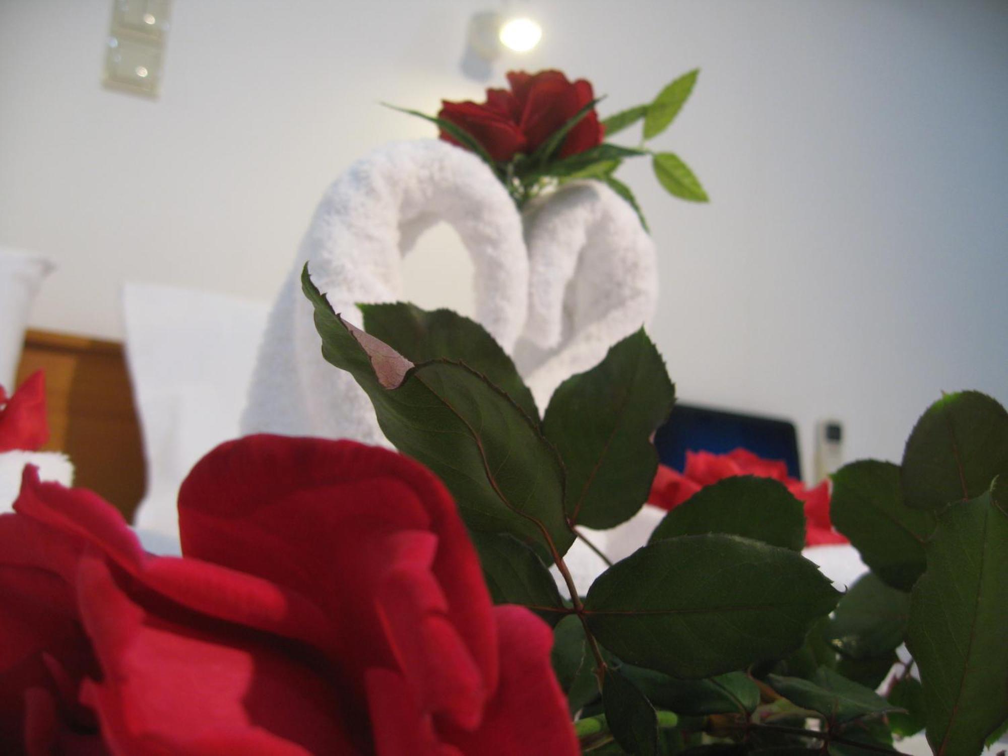 Despina Studios Agia Marina  Room photo